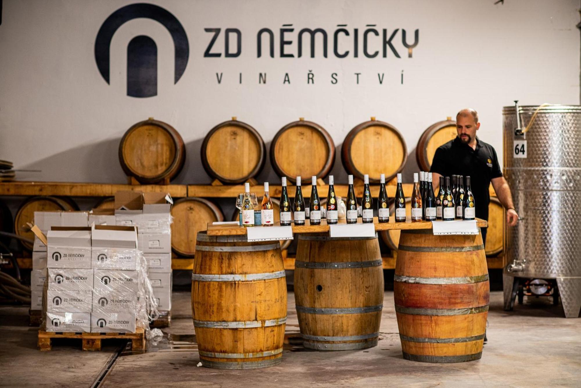 Ubytovani Ve Vinarstvi Zd Nemcicky Екстериор снимка